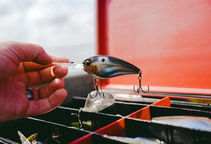 Capo Deep Diving Crankbait
